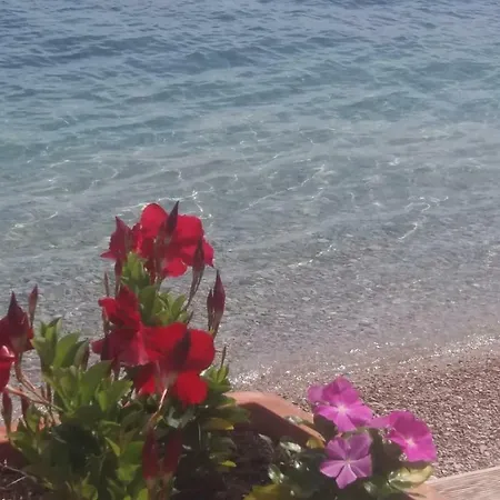 Sunrise Lejlighed Orebić